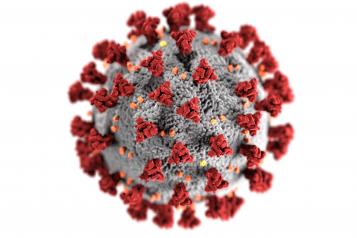 Virus particle
